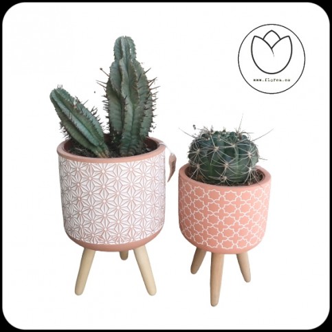 Pack 2 Cactus con maceta NØrdic