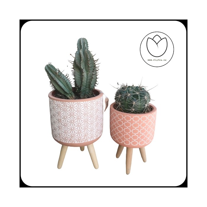 Pack 2 Cactus con maceta NØrdic