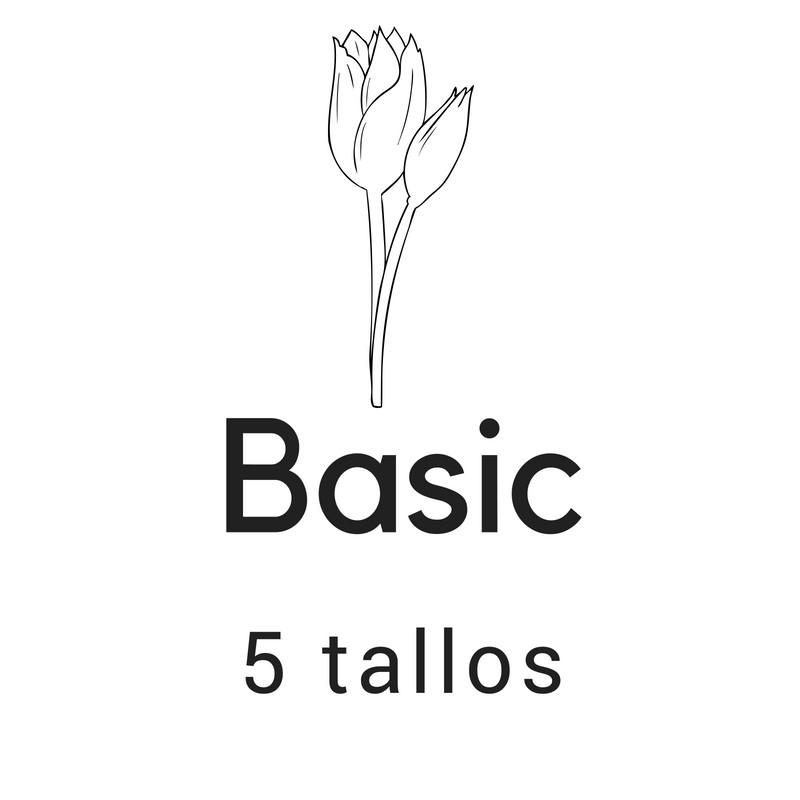 Basic 5 tallos