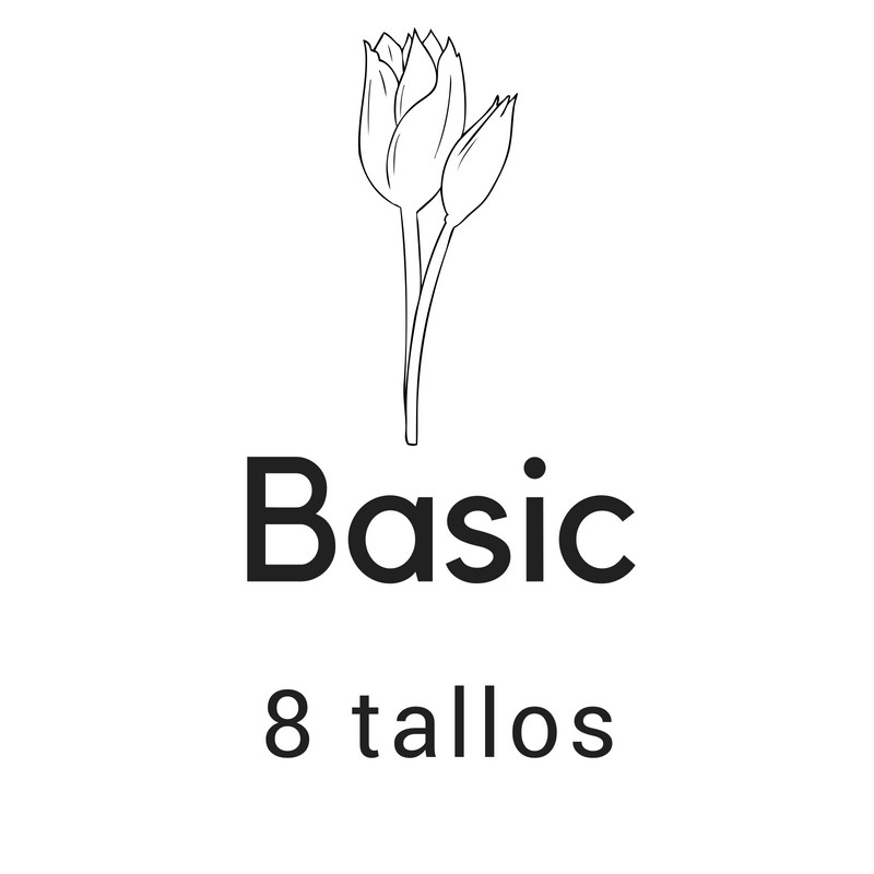 Basic 8 tallos