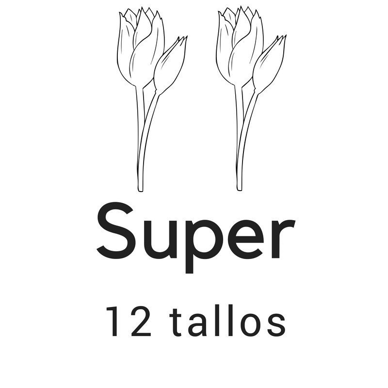 Super 12 tallos