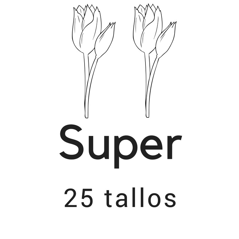 Super 25 tallos