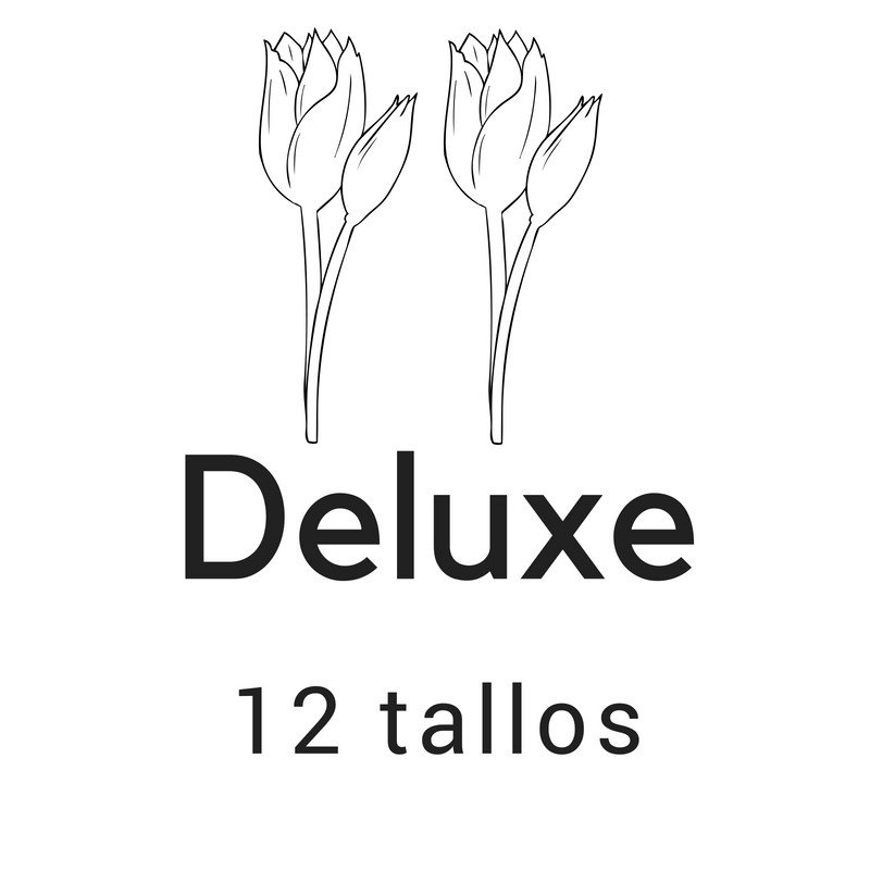 Deluxe 12 tallos