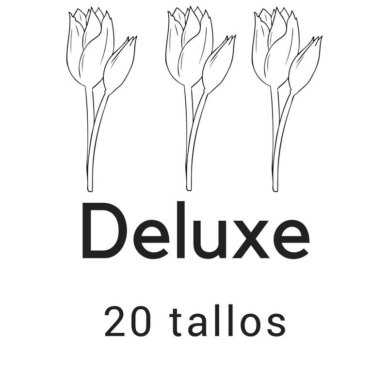 Deluxe 20 tallos