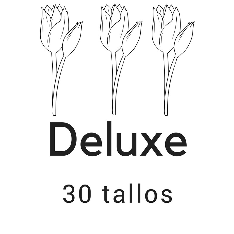 Deluxe 30 tallos