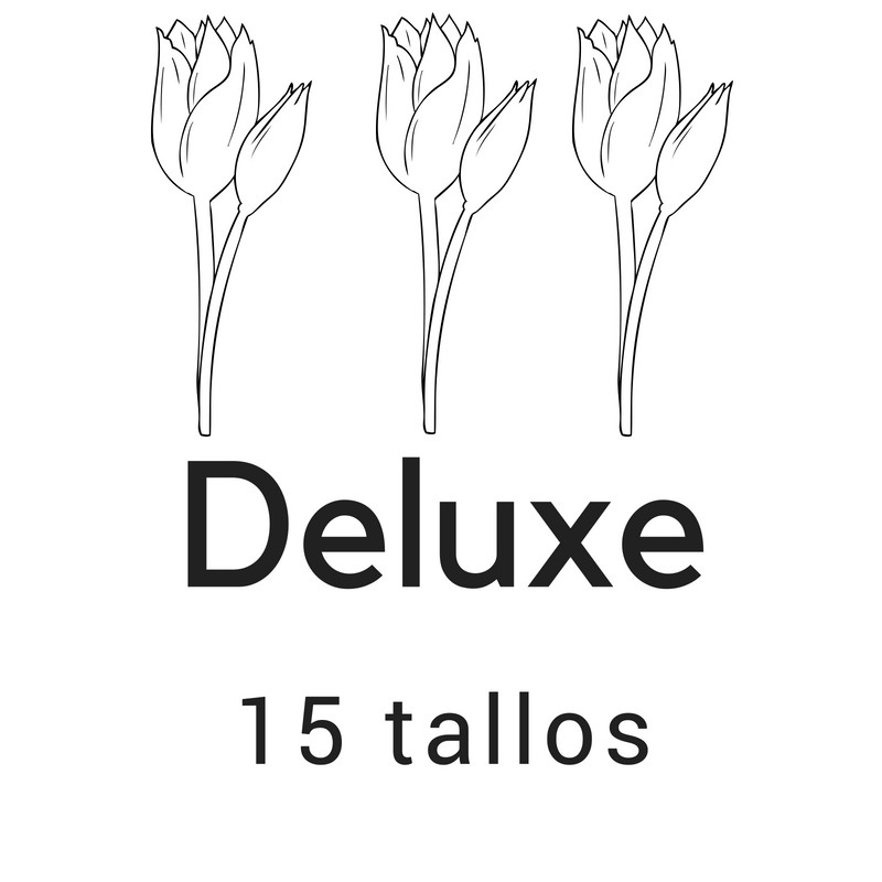 Deluxe 15 tallos