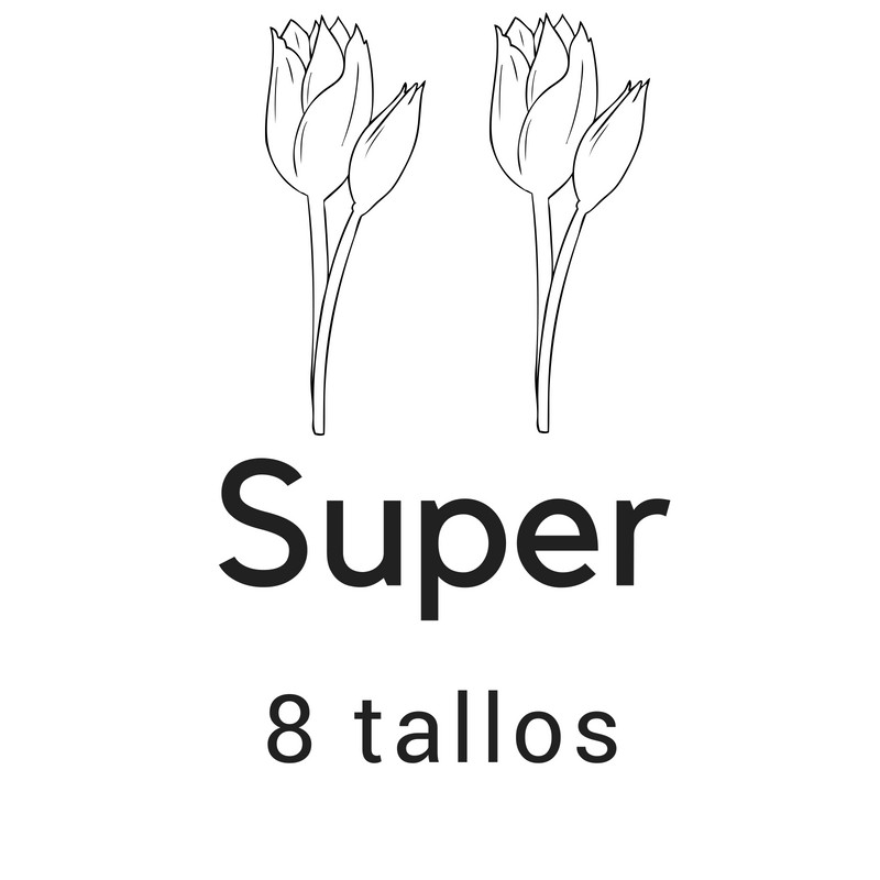 Super 8 tallos